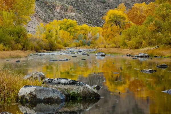 Autumn meadow — Stock Photo, Image