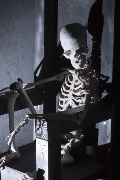 Esqueleto no Trono — Fotografia de Stock