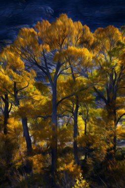 sonbahar kavak grove