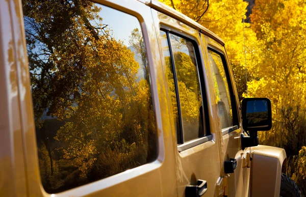 Yellow forest reflected in car — Stock Photo, Image