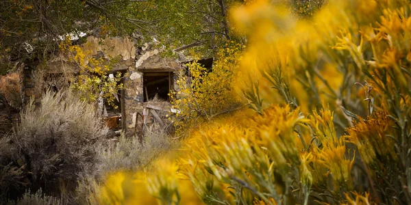 Edificio abbandonato al villaggio minerario nel deserto — Foto Stock