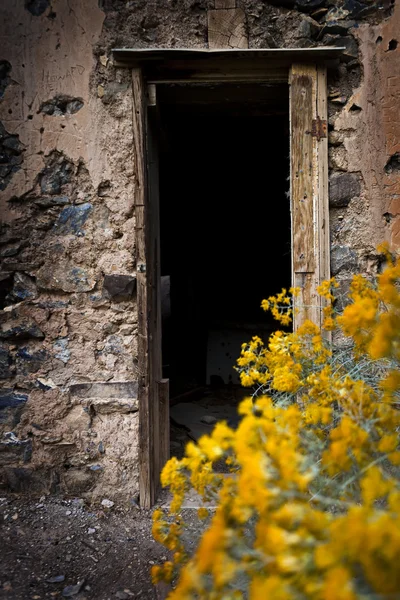 Puerta de la vieja casa abandonada —  Fotos de Stock