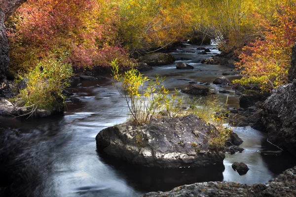 Malebná horská řeka — Stock fotografie