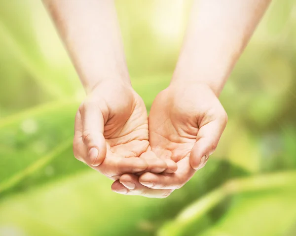 Two hands on green leaves background — Stock Photo, Image