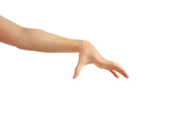 beyaz zemin üzerinde boş el