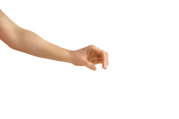 Empty woman hand on a white background in a holding phase — Stock Photo, Image