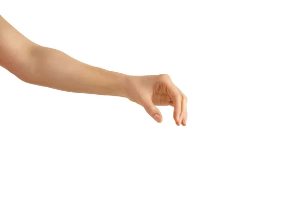 Empty woman hand on a white background in a holding phase — Stock Photo, Image