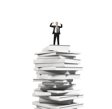 bir yığın kitap, üzerinde işadamı kavramı