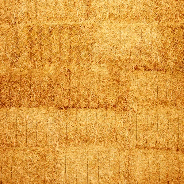 Haystack texture — Stock Photo, Image