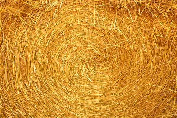 Haystack texture — Stock Photo, Image