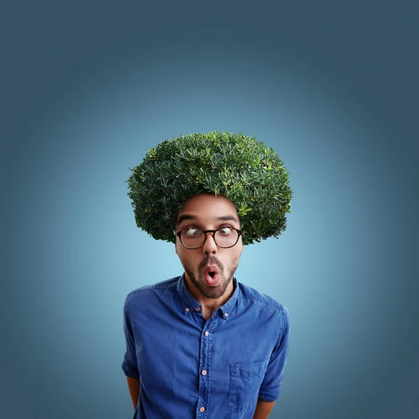 Joven sorprendido hombre con arbusto verde en lugar de pelo — Foto de Stock