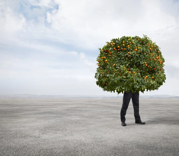 Tangerine träd man står i en öken — Stockfoto