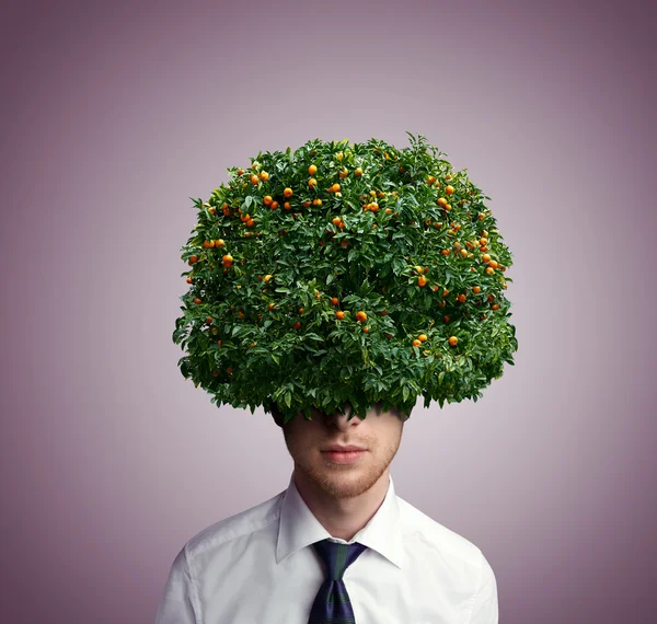 Portrait of young man with tangerine tree instead hair — Stock Photo, Image