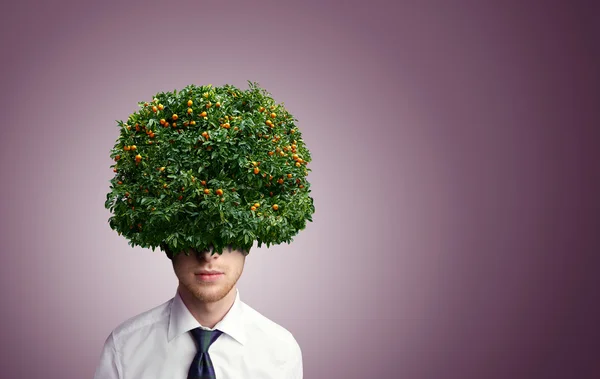 Portrait of young man with tangerine tree instead hair — Stock Photo, Image