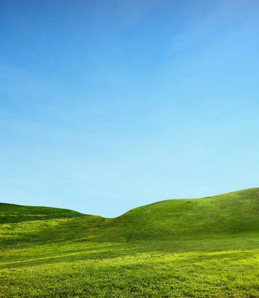 Campo verde — Fotografia de Stock