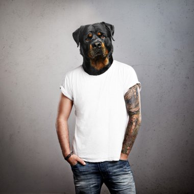 erkek dogâ € ™ s başı