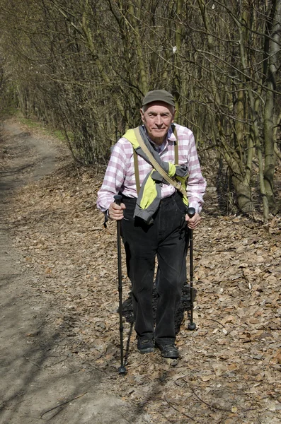 Il nordic walking senior — Foto Stock