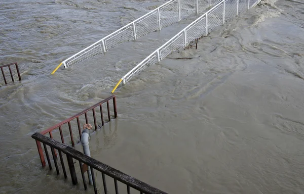 Overstroming op Donau — Stockfoto