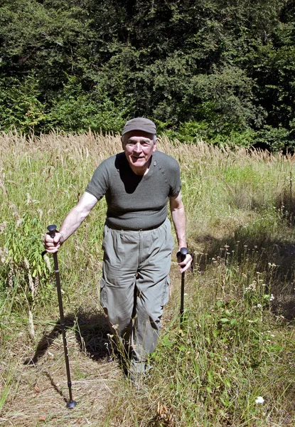 Nordic Walking für Senioren — Stockfoto