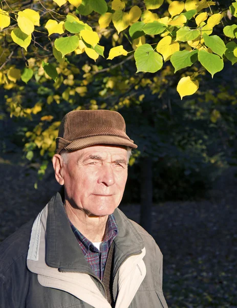 Portrét staršího muže — Stock fotografie