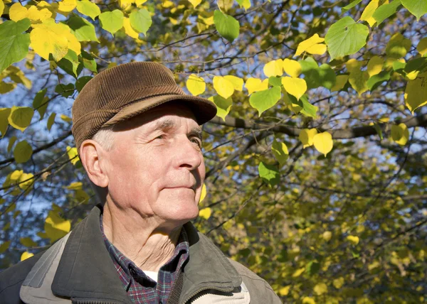 O retrato do homem idoso — Fotografia de Stock