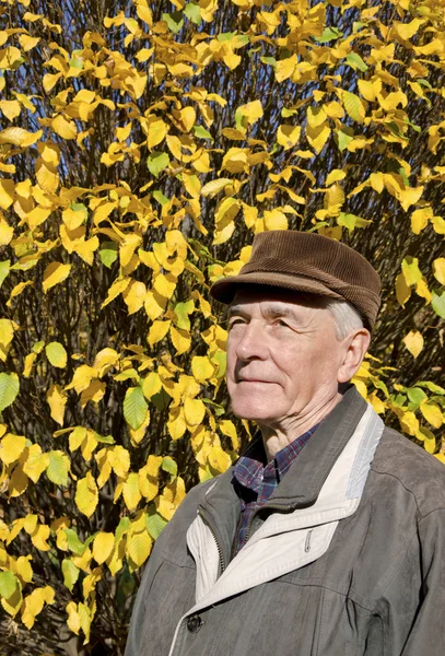 O retrato do homem idoso — Fotografia de Stock