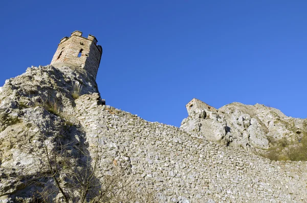 A torre de donzela e a parede leste do castelo de Devin — Fotografia de Stock