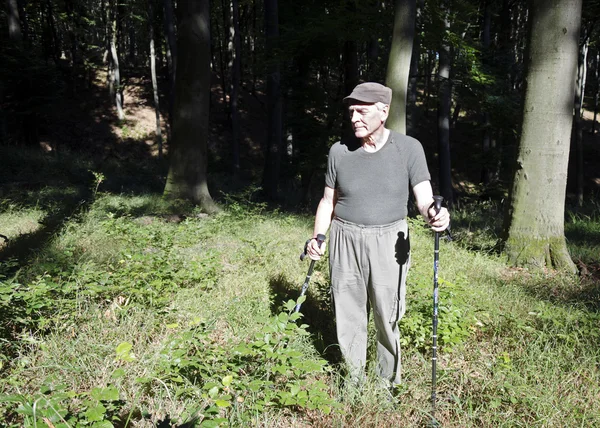 Nordic Walking für Senioren — Stockfoto