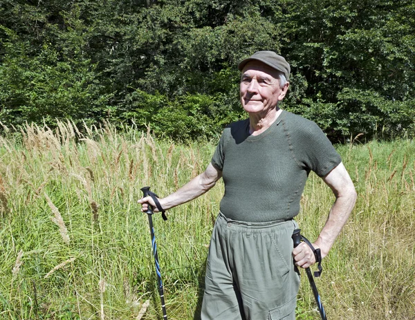 Anziani nordic walking — Foto Stock