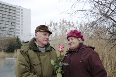 üst düzey iki Sevgililer günü
