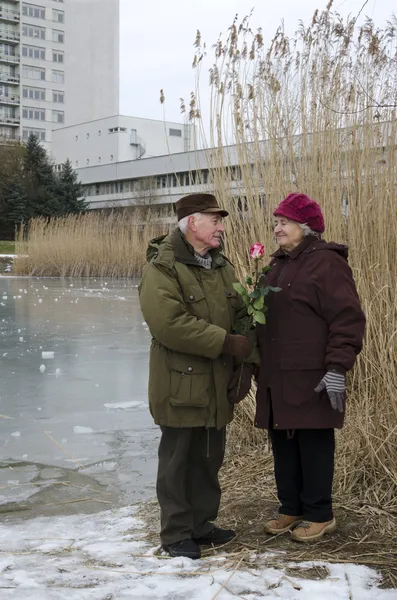 La coppia più anziana durante Giorno di San Valentino — Foto Stock