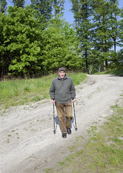 Der Senior beim Nordic Walking — Stockfoto