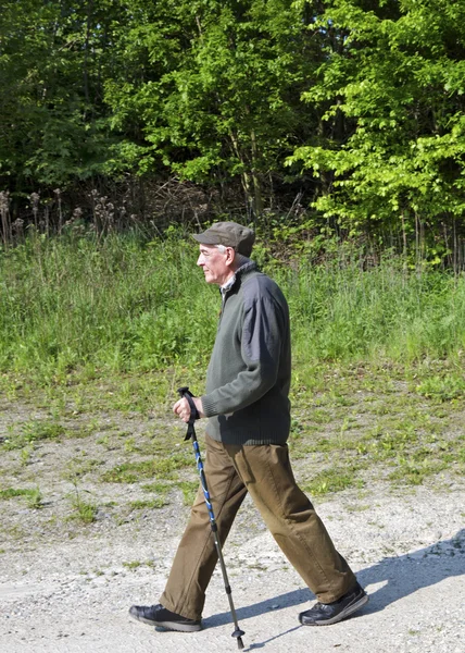El hombre mayor caminando nórdico — Foto de Stock