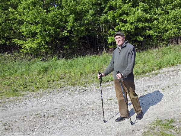 Der Senior beim Nordic Walking — Stockfoto