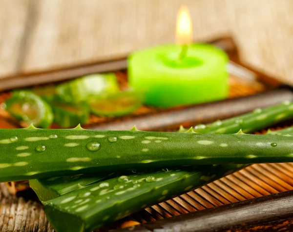 Aloe vera — Fotografia de Stock