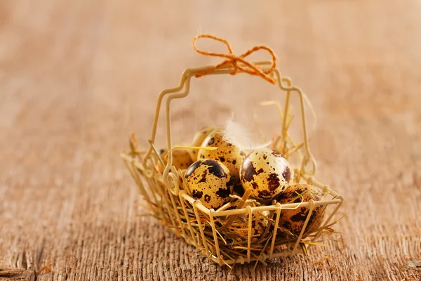 Quail eggs in metal basket — Stock Photo, Image