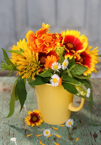 Garden flowers — Stock Photo, Image