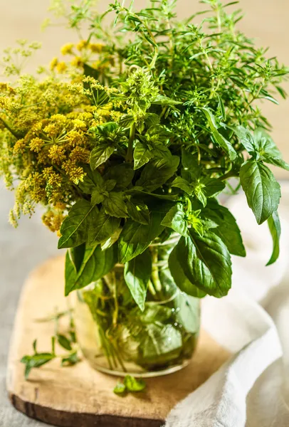Ervas aromáticas frescas — Fotografia de Stock