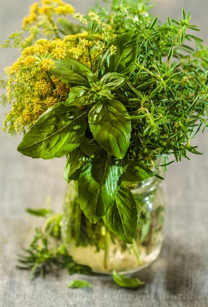 Aromatic fresh herbs — Stock Photo, Image