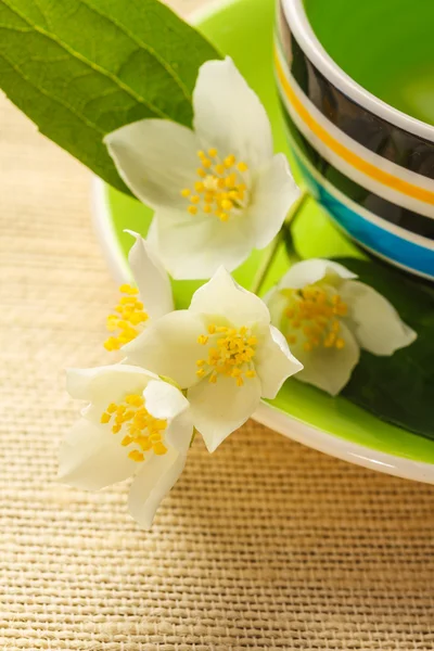 Té de jazmín — Foto de Stock