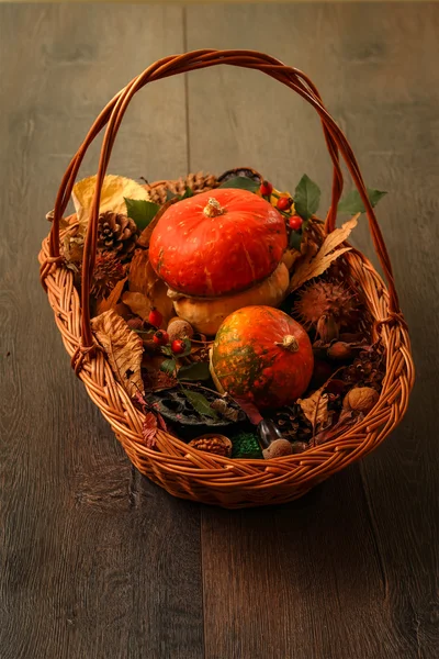 Fall decoration — Stock Photo, Image