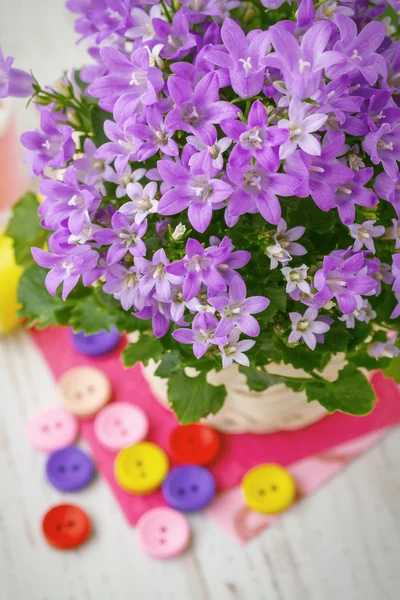 春の花とカラフルなボタンのある静物 — ストック写真