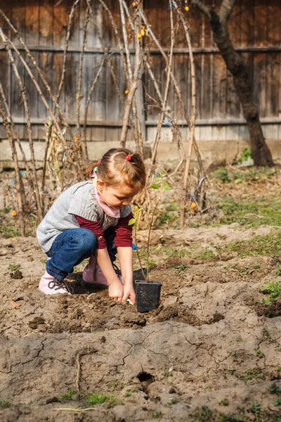 Little girl working in vegetable garden — Stock Photo, Image