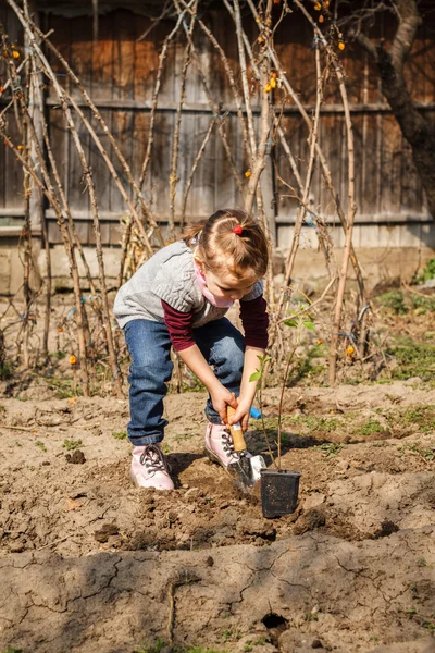 Маленькая девочка работает в огороде — стоковое фото