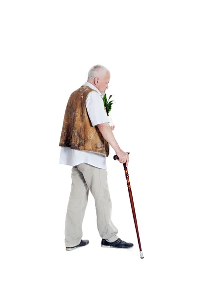 Älterer Mann mit Stock und Blumentopf in der Hand — Stockfoto