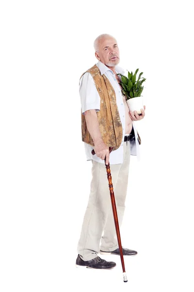 Homme âgé avec une canne et un pot de fleurs à la main — Photo