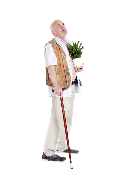 Elderly man with a cane and flowerpot in hand — Stock Photo, Image