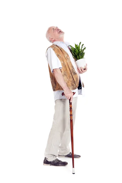 Homme âgé avec une canne et un pot de fleurs à la main — Photo