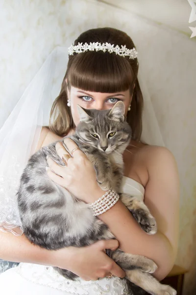 Sposa con un gatto — Foto Stock