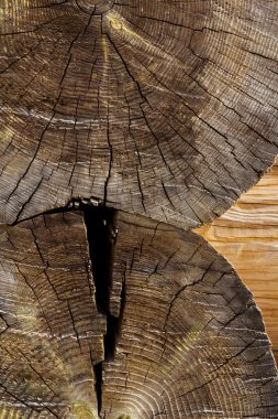 Auschwitz 'de bir kasaba.